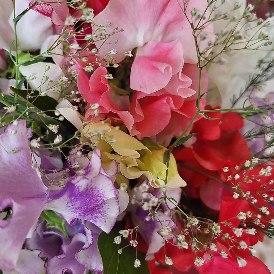 Floristika - ziedi, dekoratīvie ziedi, lielziedi